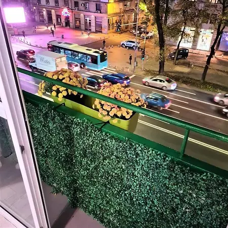Bellevue Apartament